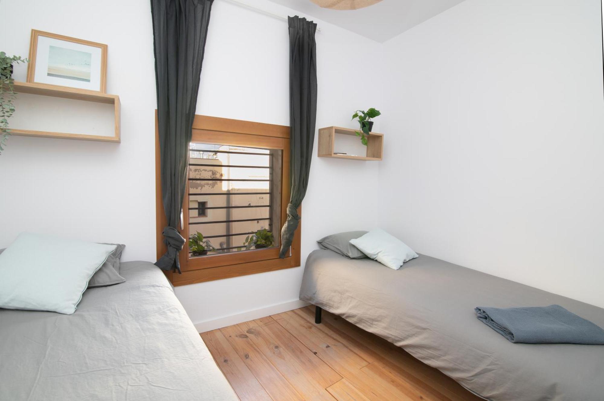 Apartment Comfy Cathedral